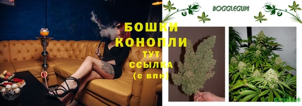 дурь Верхний Тагил