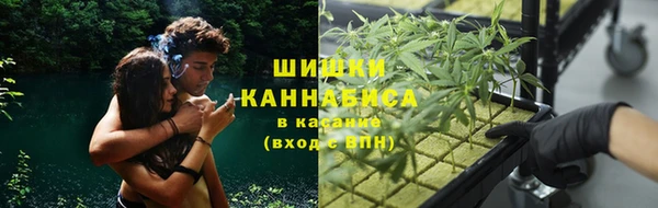 амф Верея