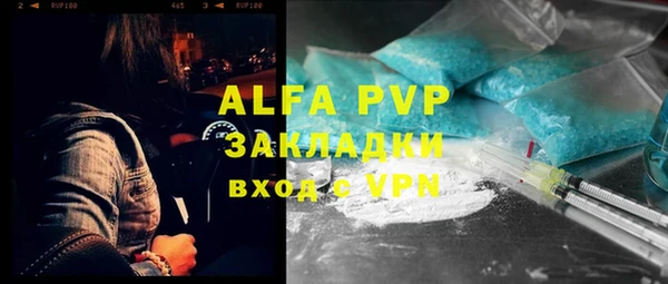 амф Верея