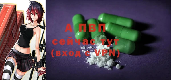 амф Верея