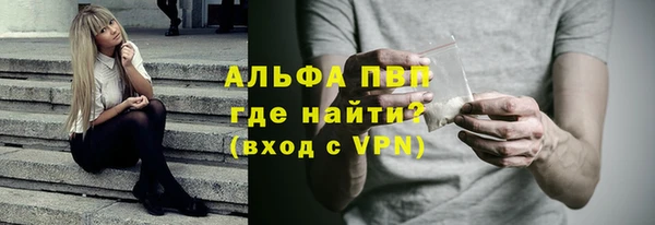 амф Верея