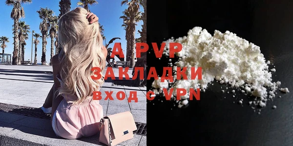 амф Верея