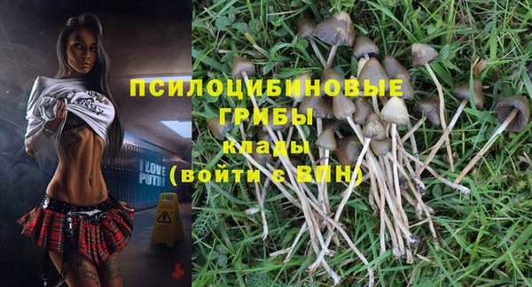 дурь Верхний Тагил