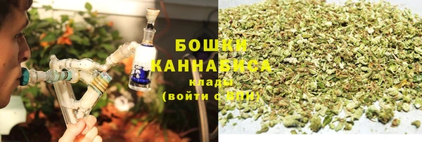 амф Верея