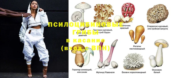 амф Верея