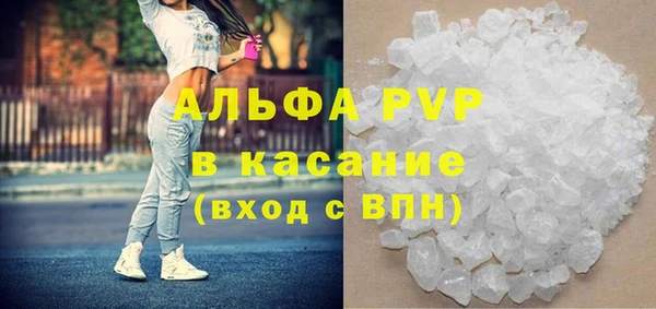 амф Верея