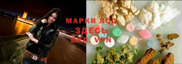 амф Верея