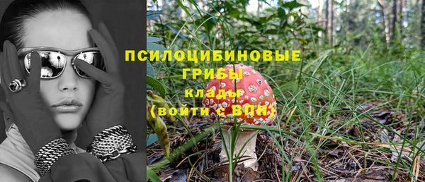 гидра Верхнеуральск